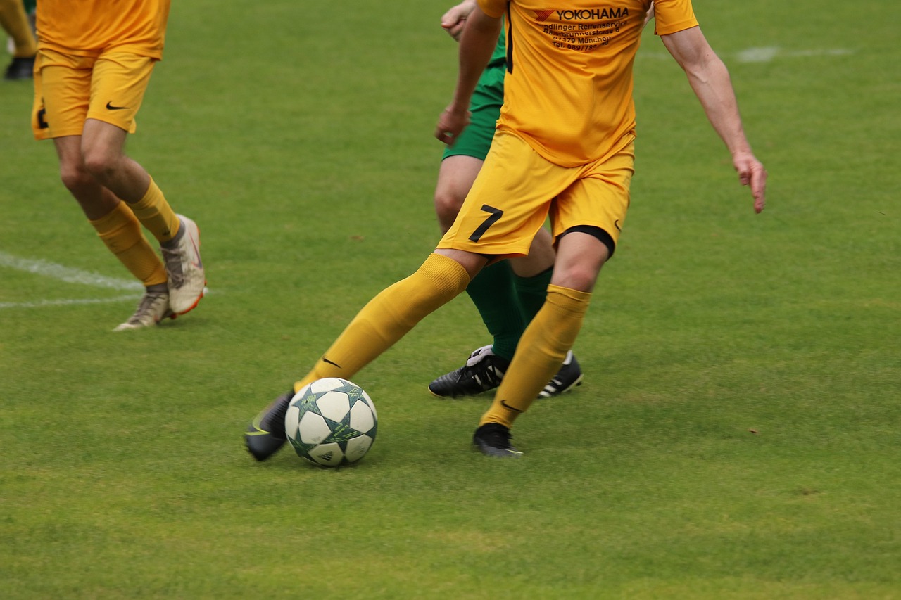 张雨霏现阶 张雨霏现阶